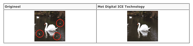 Digital ICE Technologie