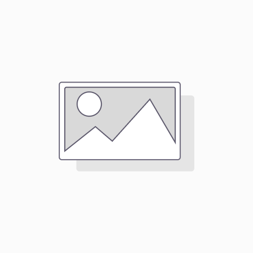 300 DPI – Standaard digitalisatie (SD)